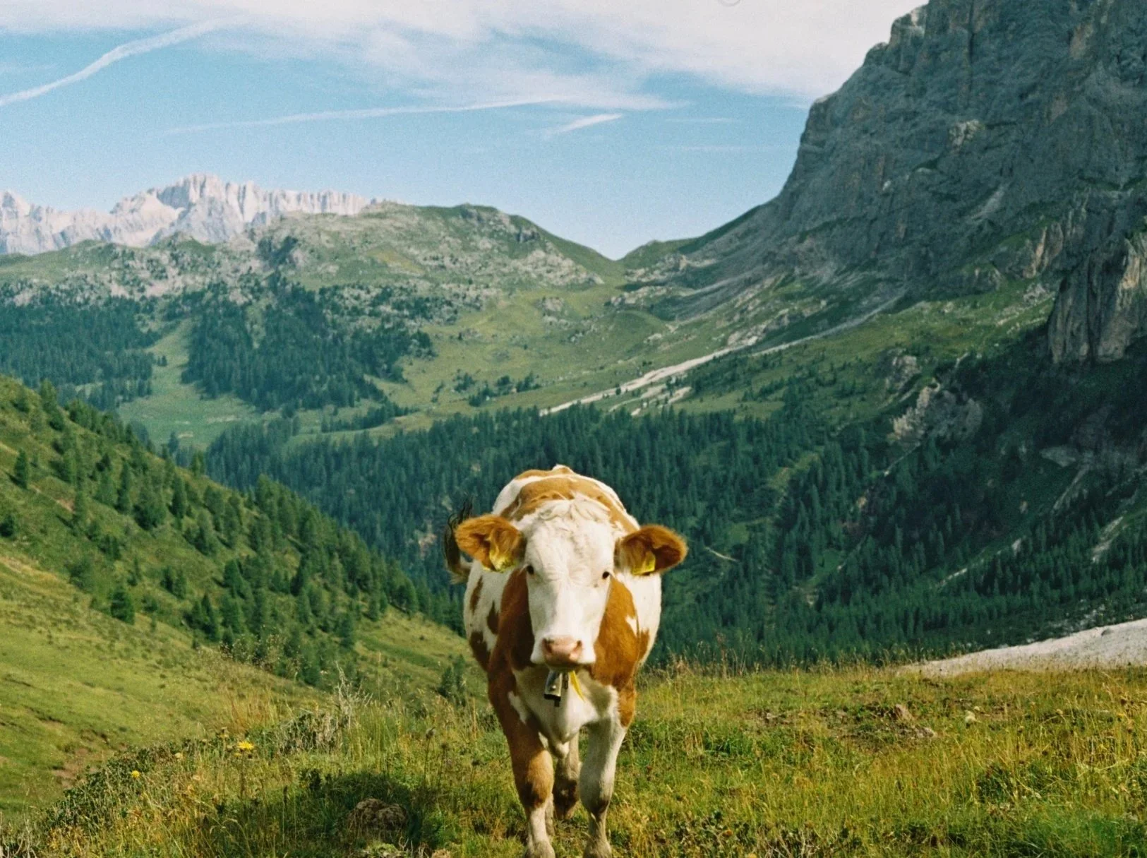 Northern Italy. August 2020