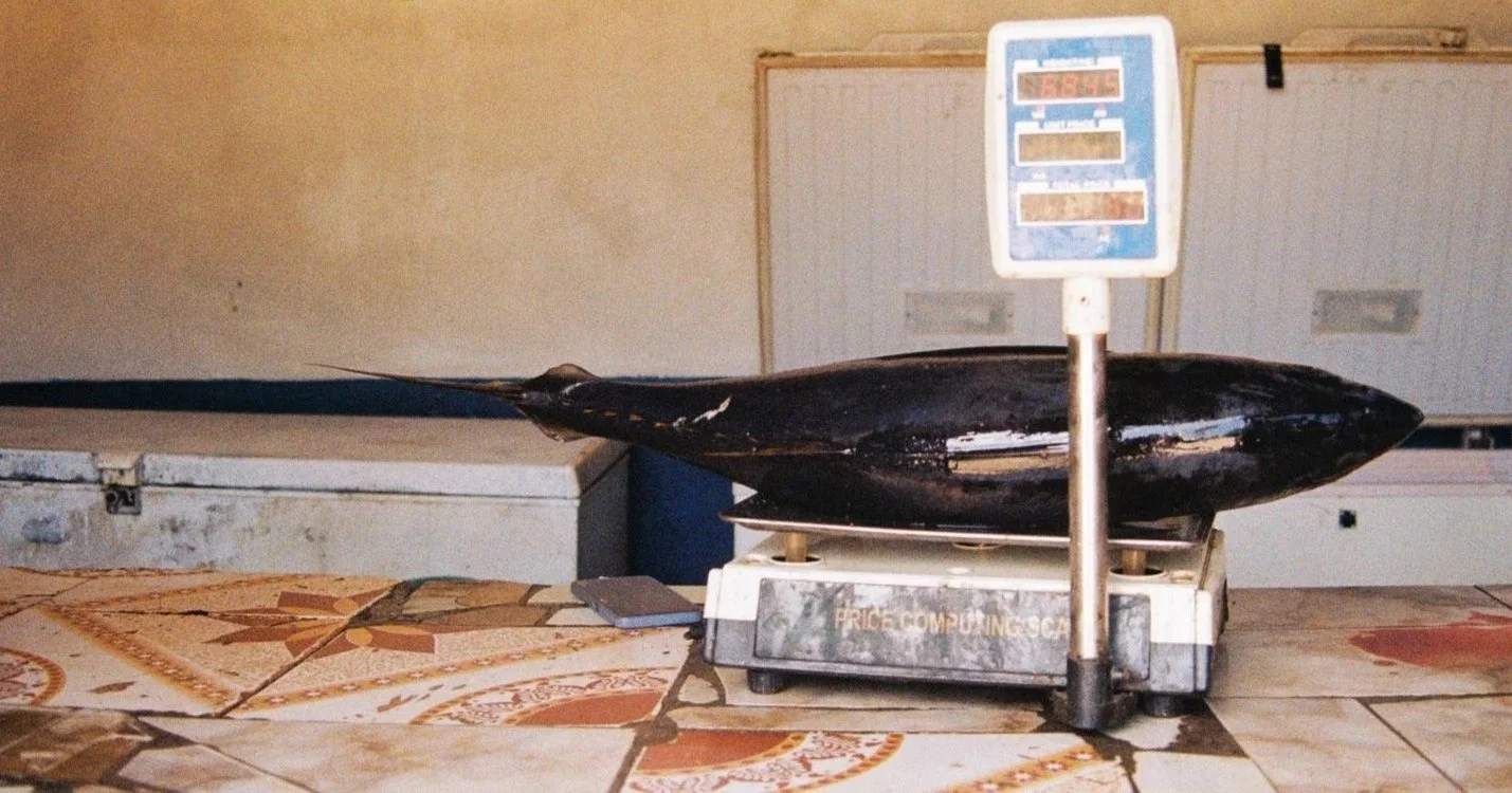 Kenyan Coast. December 2023