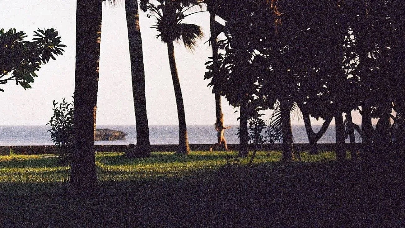 Kenyan West Coast. January 2024