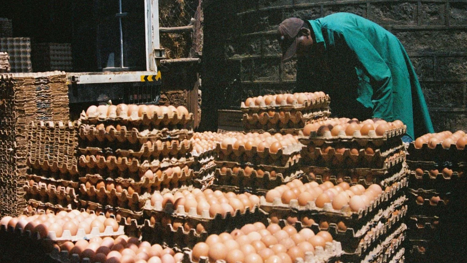 Limuru. January 2024 