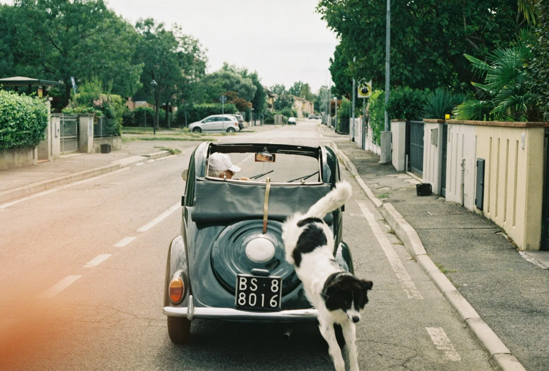 Northern Italy. August 2020