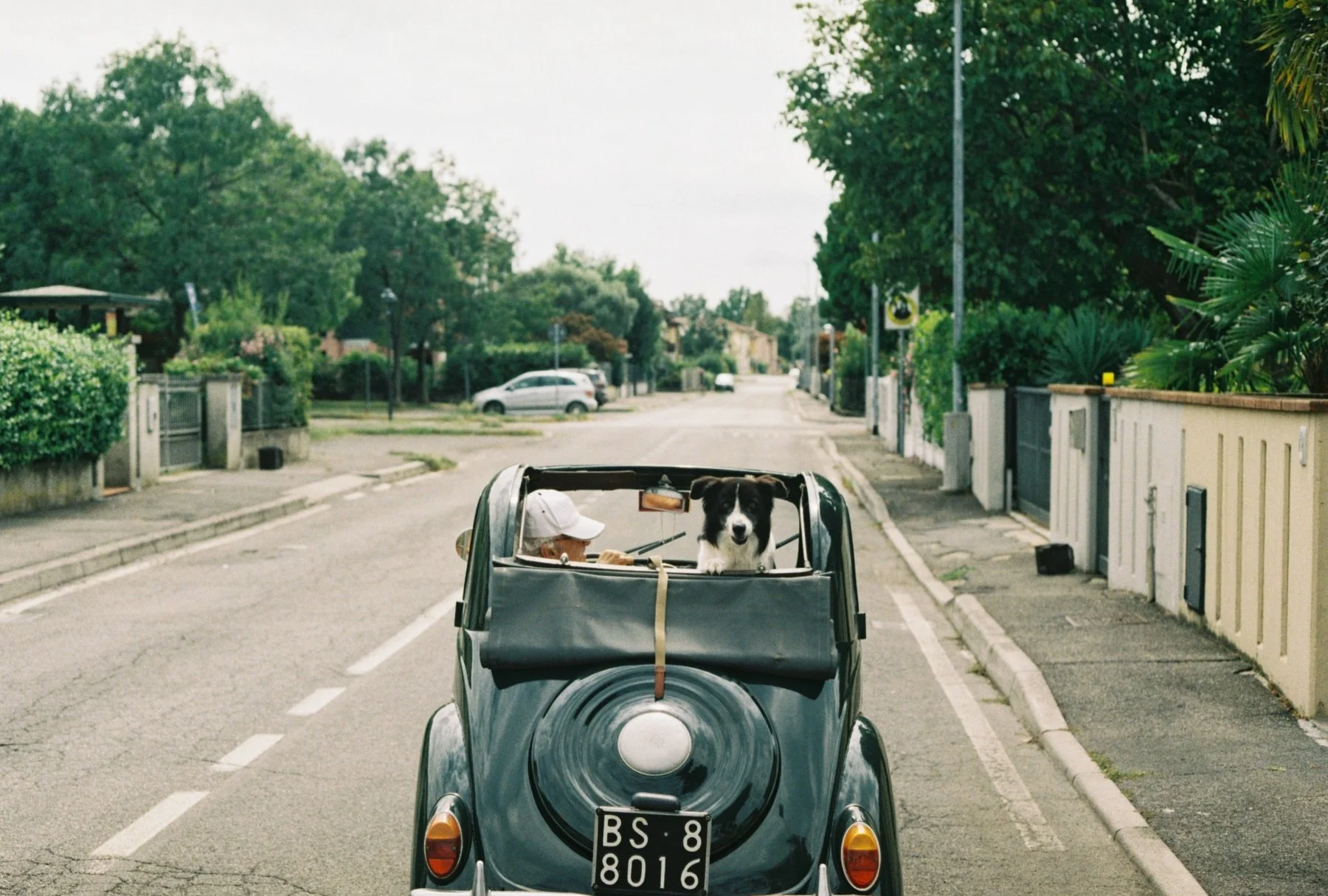 Northern Italy. August 2020