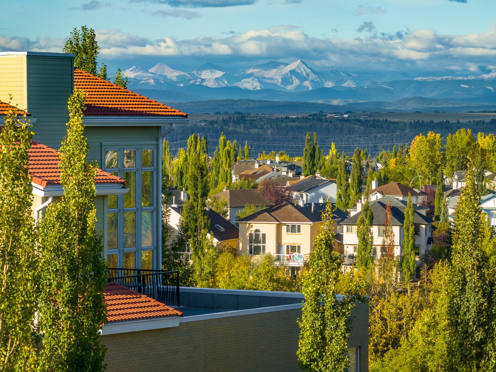 A residential neighborhood with various houses surrounded by tall green trees, set against a backdrop of snow-capped mountains and blue sky.
