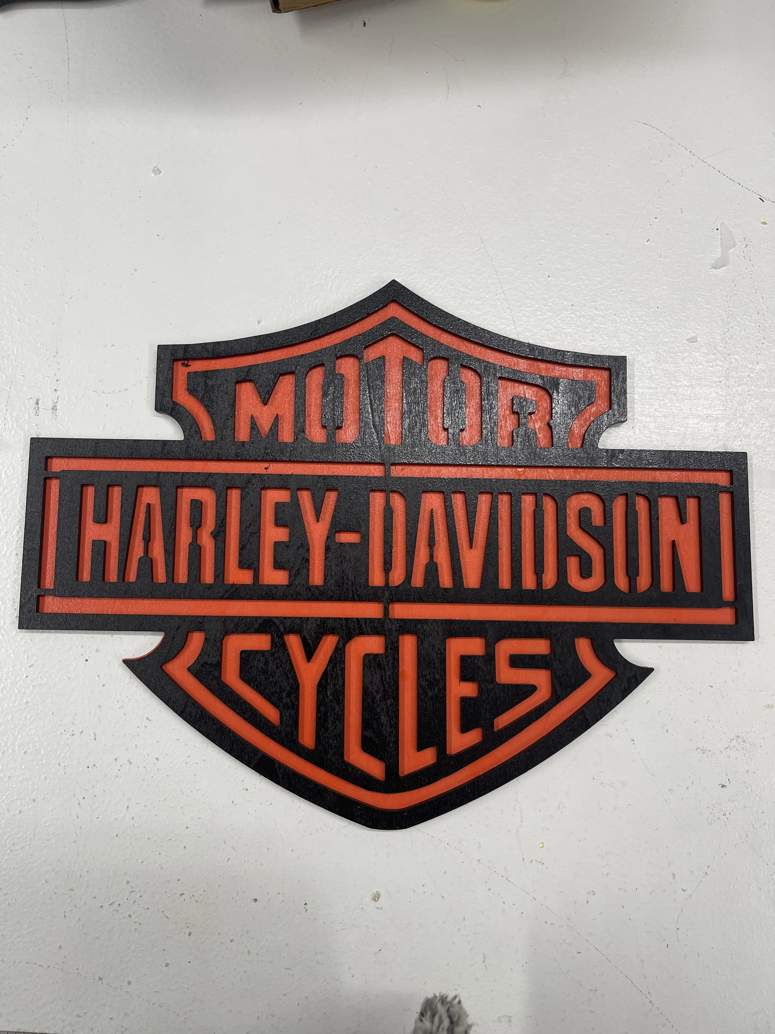 HARLEY DAVIDSON-IN0054