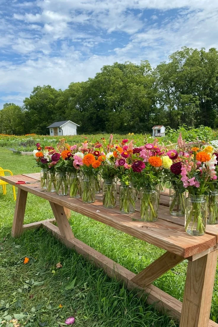 Top 10 Annual Flowers Every Flower Farmer Should Grow.jpeg