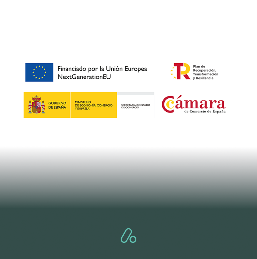 Mentoring and internationalization support program