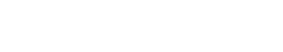 Raíces