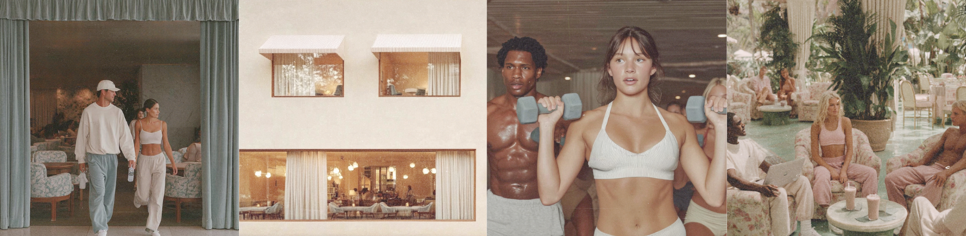 Phoenix Investment.png