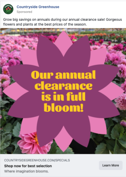 Social ad with supporting copy