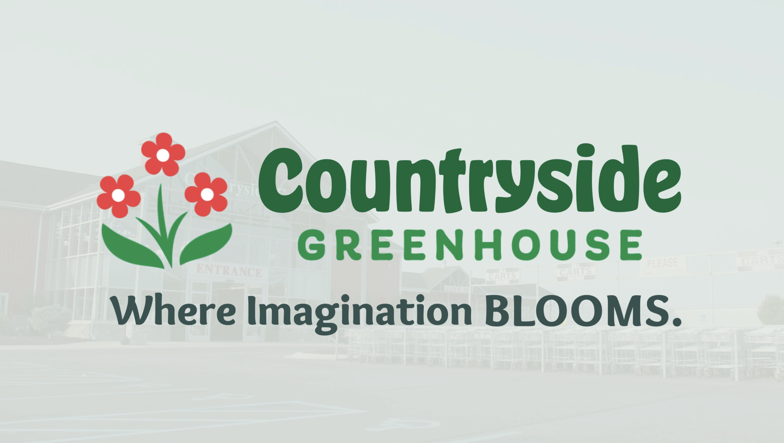 Animated Logo Bumper