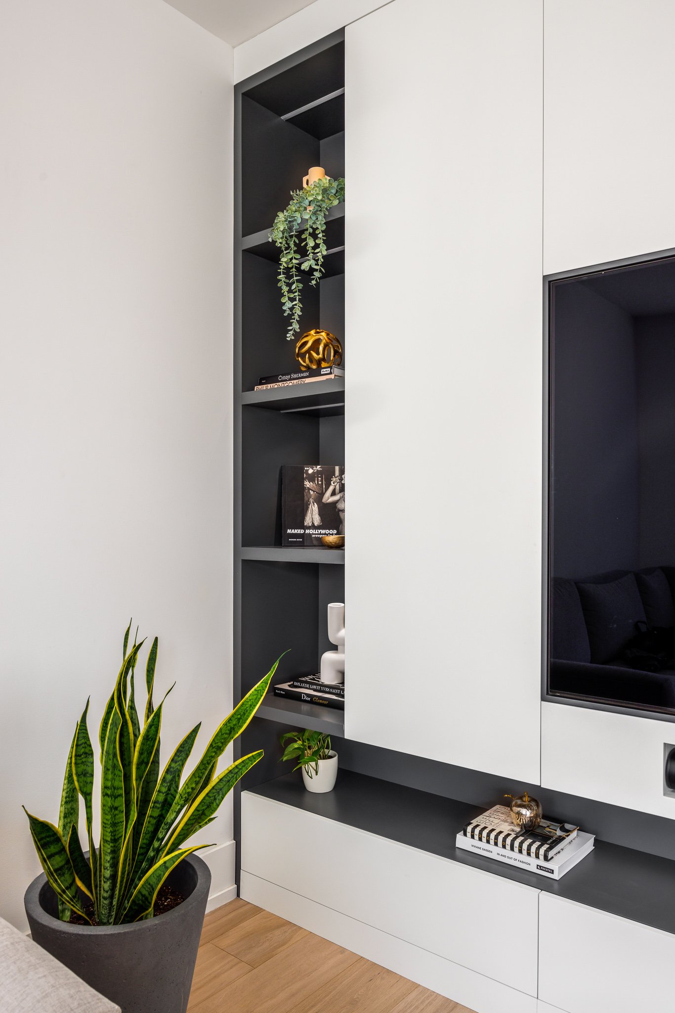 Close-up of a modern living room corner featuring a black and white built-in shelving unit with decorative items, books, and a TV. There is a potted plant with long, pointed green and yellow leaves on the floor, and another small plant on the shelf.