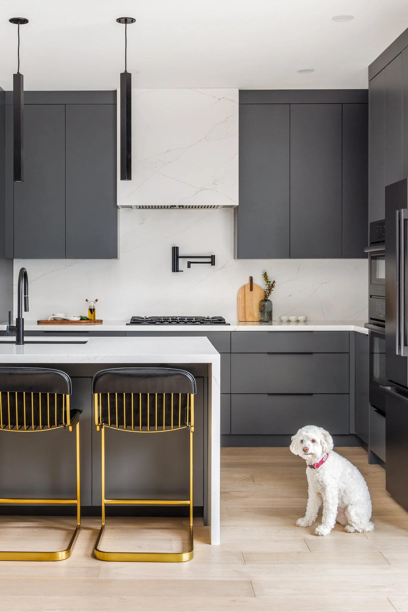 A modern kitchen with gray cabinets, a white marble backsplash, and a white marble kitchen island with gold and black bar stools. A white dog with a pink collar is sitting on the light wooden floor near the island.