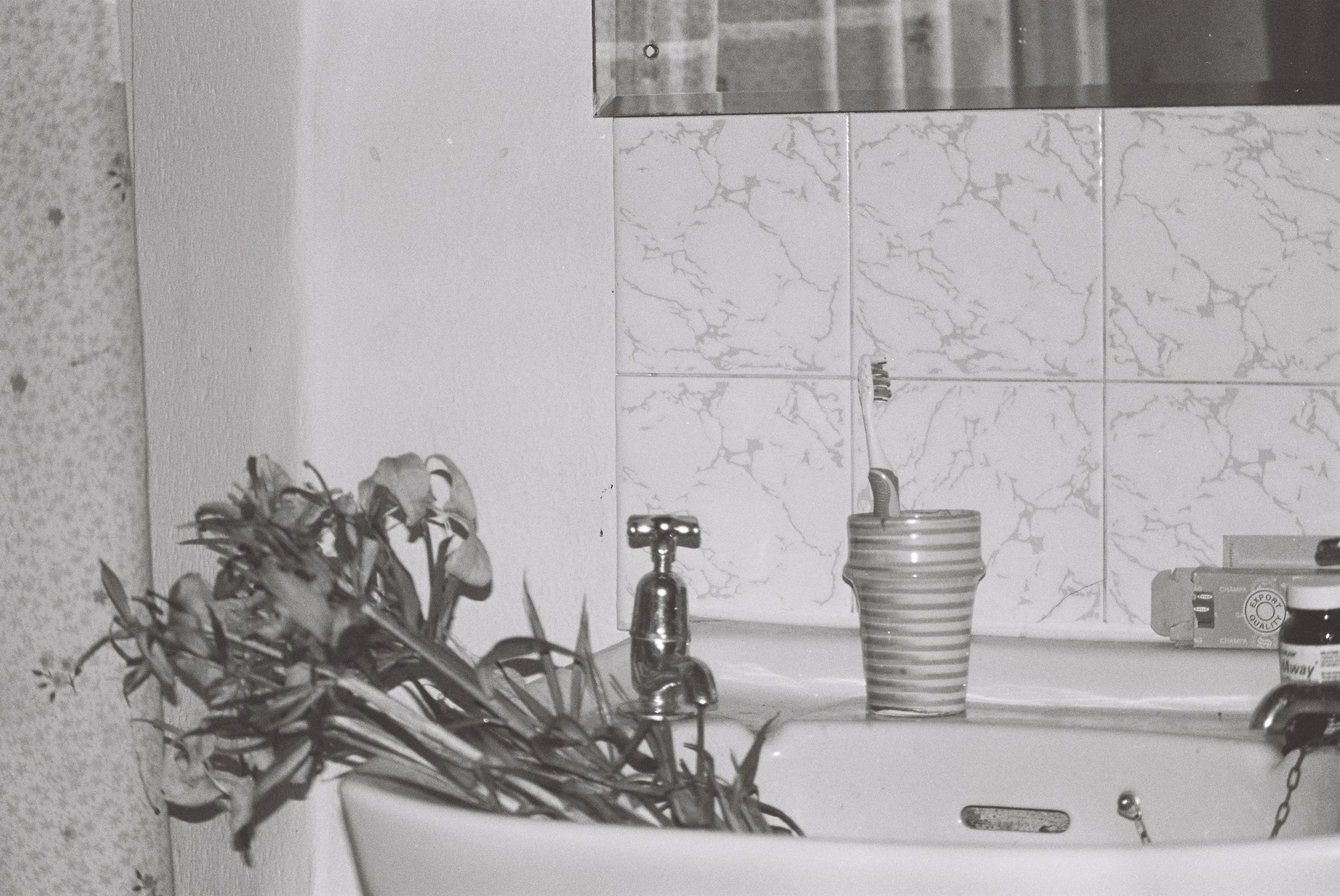 dead flowers in the sink.JPG