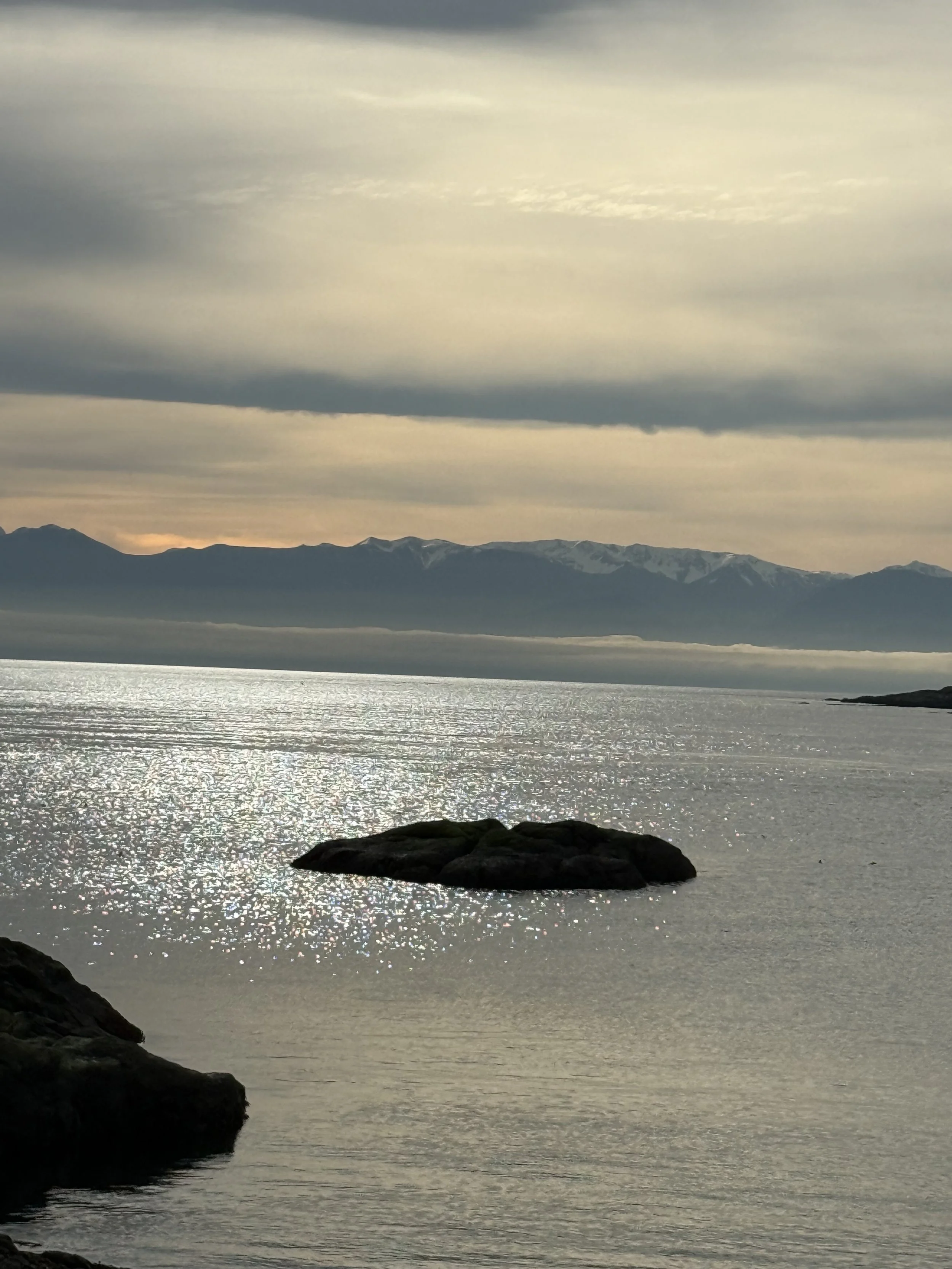 A scenic view of a body of water with rocks in the foreground, snow-capped mountains in the distance, and a cloudy sky overhead.