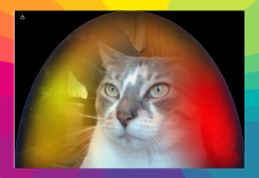 A gray and white cat with colorful rainbow-like background representing her aura after getting a pet aura reading.