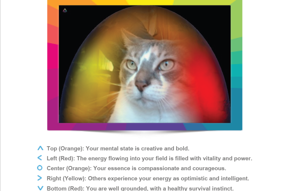 A gray and white cat with colorful rainbow-like background representing her aura after getting a pet aura reading.  A text list of the chakra colors represented in the photo and their meaning.