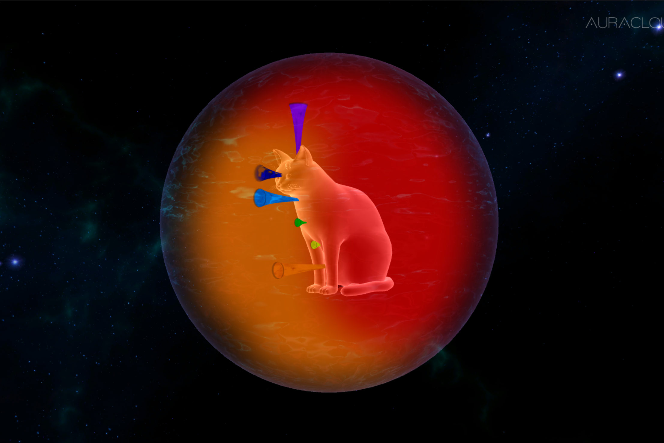 A digital illustration of a cat inside a red-orange aura sphere, with colorful labels representing chakra levels pointing to different chakra locations of the cat and sphere, set against a starry outer space background.