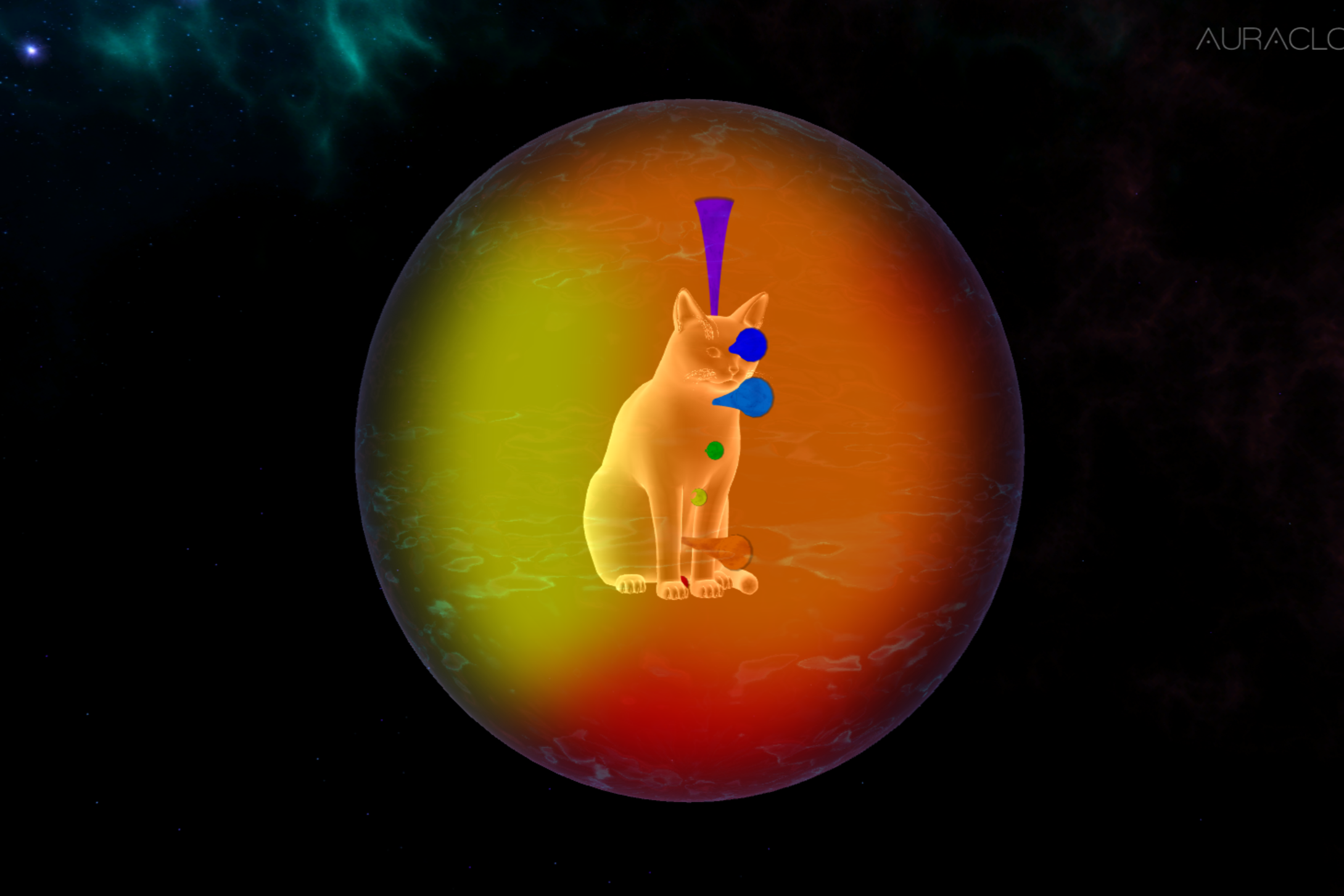 A digital illustration of a cat inside a red-orange-yellow aura sphere, with colorful labels representing chakra levels pointing to different chakra locations of the cat, set against a starry outer space background.