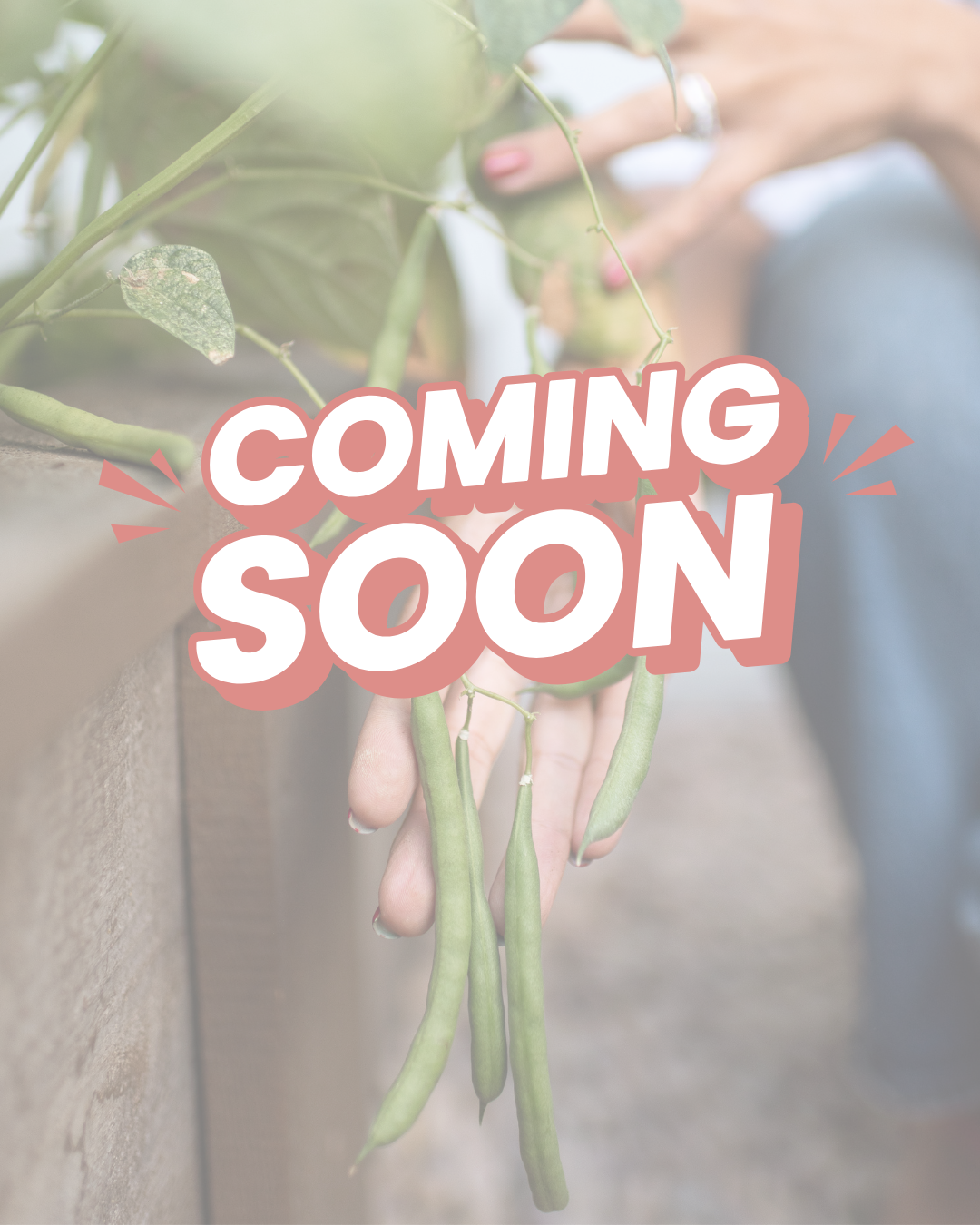 Untitled design (11).png