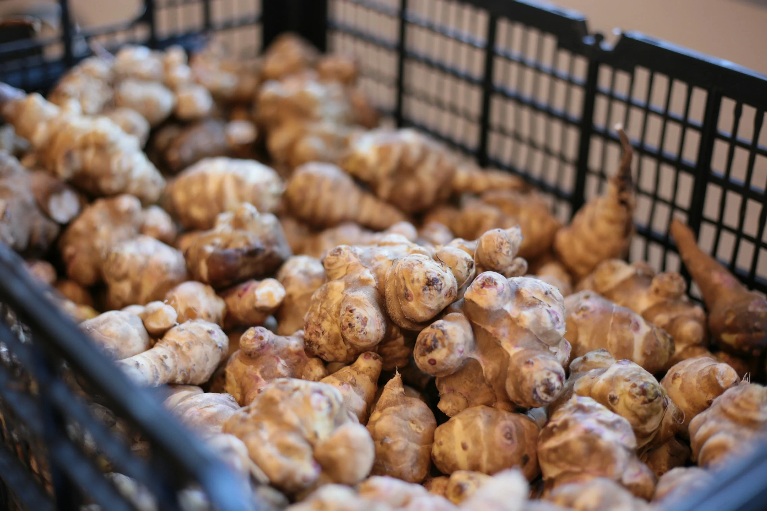 Heap of Jerusalem artichokes inside a black plastic crate.