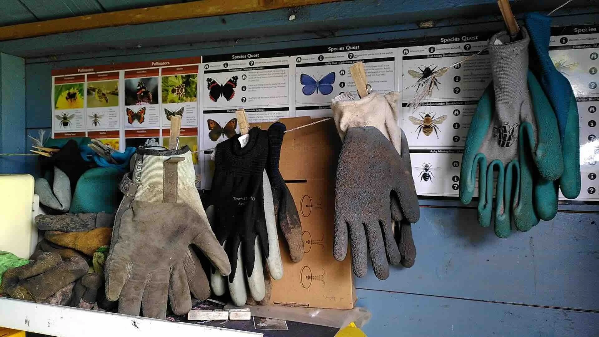 gardening gloves june 2026.jpeg