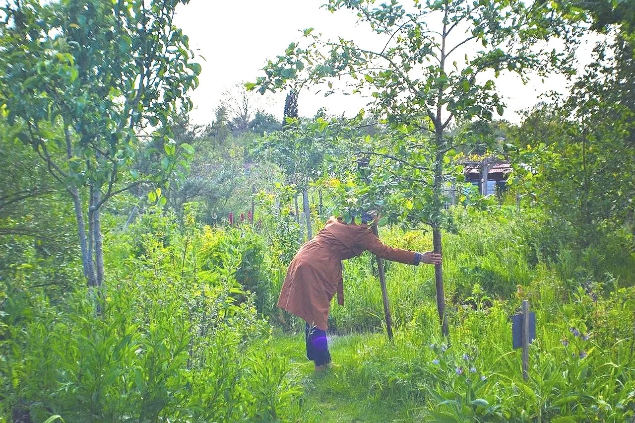 Be with Nature: connecting to stillness through Nature