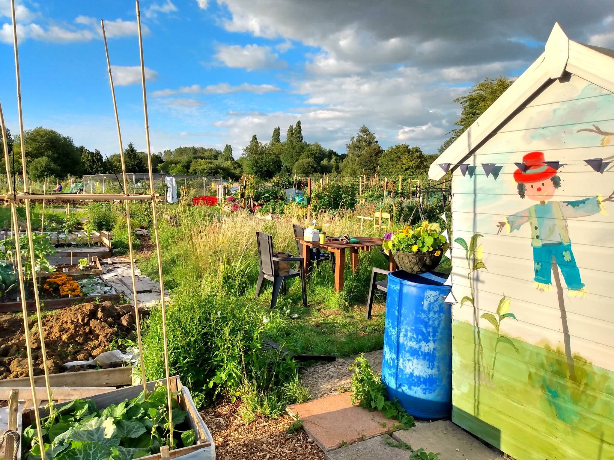 A lush, green community garden with raised beds filled with various plants, a small painted shed with a colorful cartoon figure on the side, a blue barrel, and garden chairs under a partly cloudy sky with trees in the background.