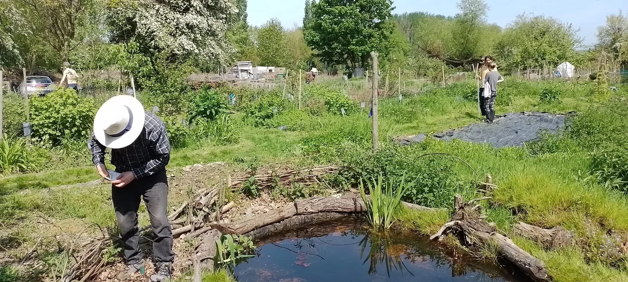 A volunteer working beside the pond in the lush, established Marston Forest Garden.
