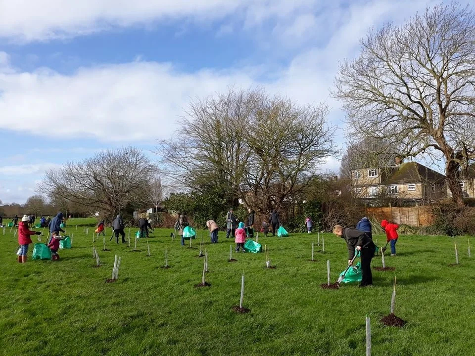 People planting young trees in a grassy field on a partly cloudy day.
