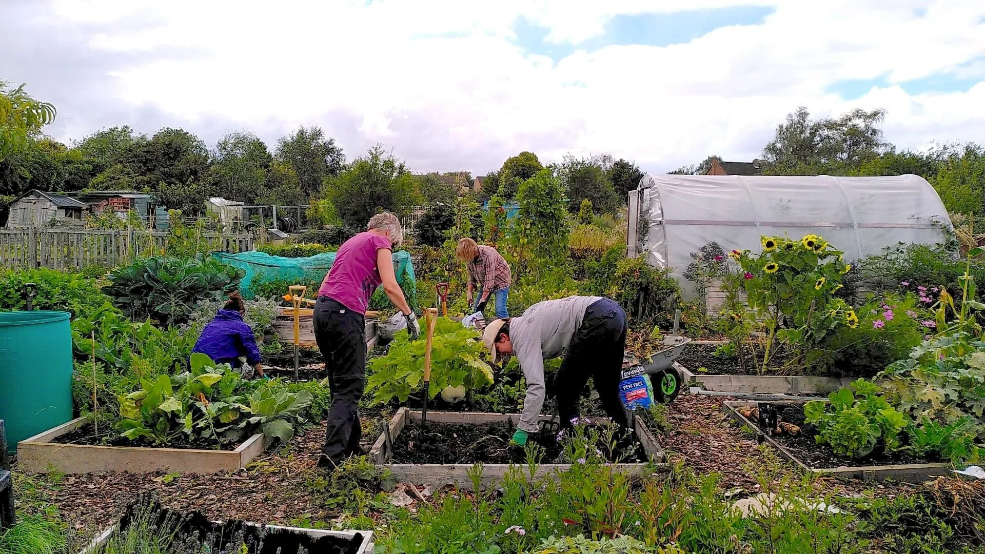 People working in a lush vegetable garden, planting and tending to crops, with small structures and a greenhouse in the background on a partly cloudy day.