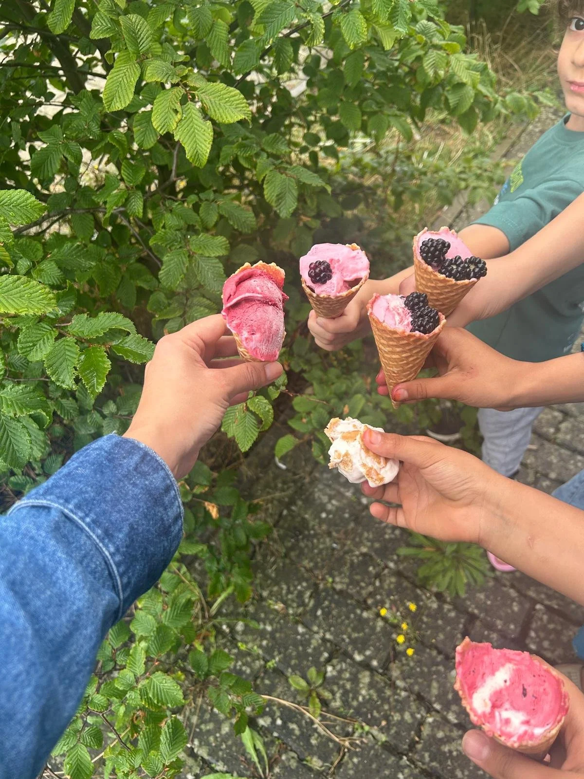 People holding ice cream cones with various flavors, including berry and vanilla, outdoors near green bushes.