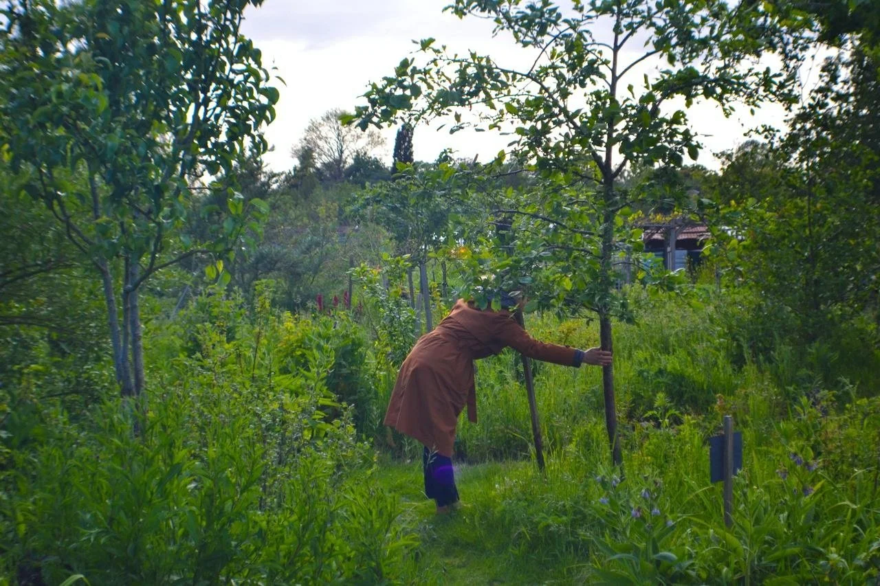 Person in the Forest Garden