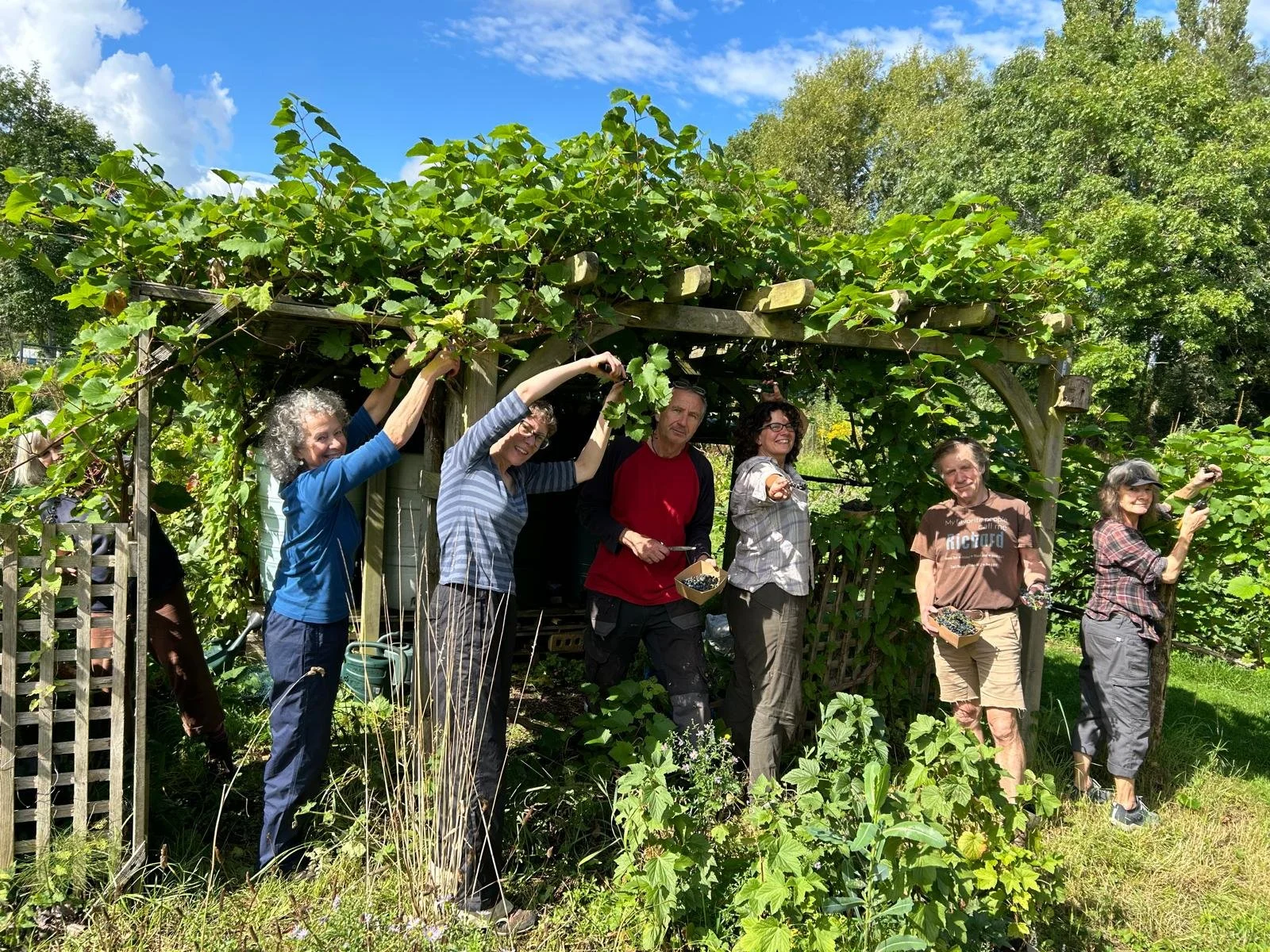 Six volunteers standing beneath a leafy grapevine at Marston Forest Garden