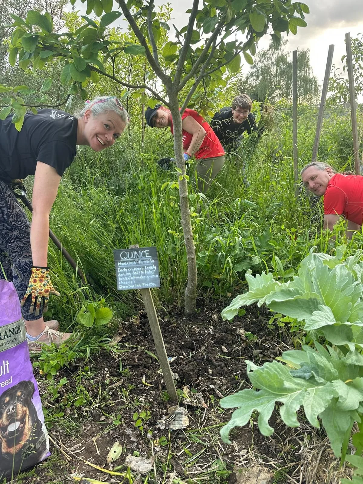 Four people gardening around a small tree labeled 'QUINCE' in a lush area with various plants and greenery. They are smiling and appear to be planting or caring for the tree.
