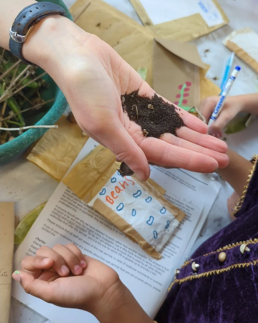 A person's hand holding soil over an open book with a sign that says 'Beans' and drawings of rain. Another person's hand is writing with a marker nearby, surrounded by planting materials.