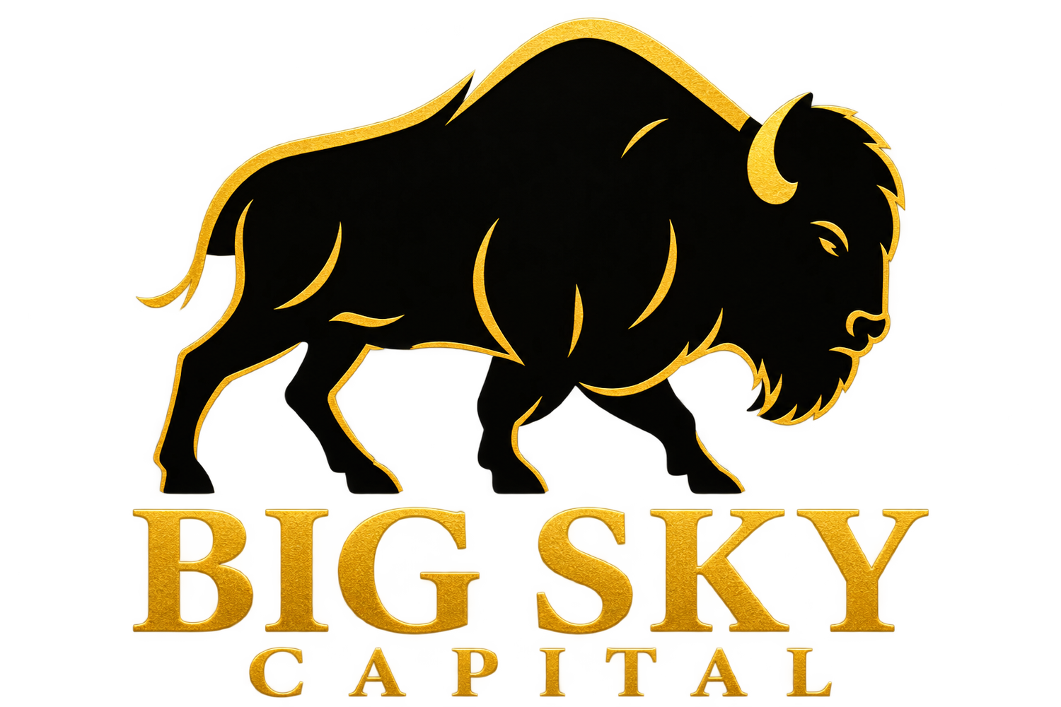 BIG SKY CAPITAL PARTNERS