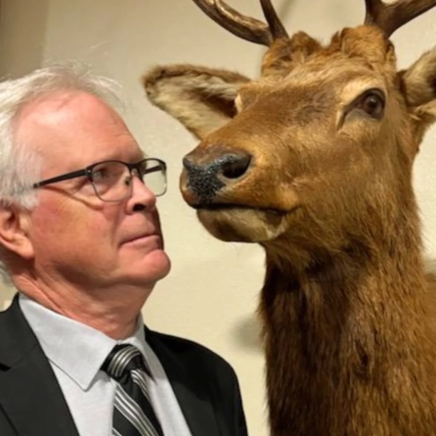 No I don't have a gun... yes, I am aware hunting season is open... you might want to do something about your breath....

#mutualofomahawildkingdom #atonewithnature #olivetheotherreindeer