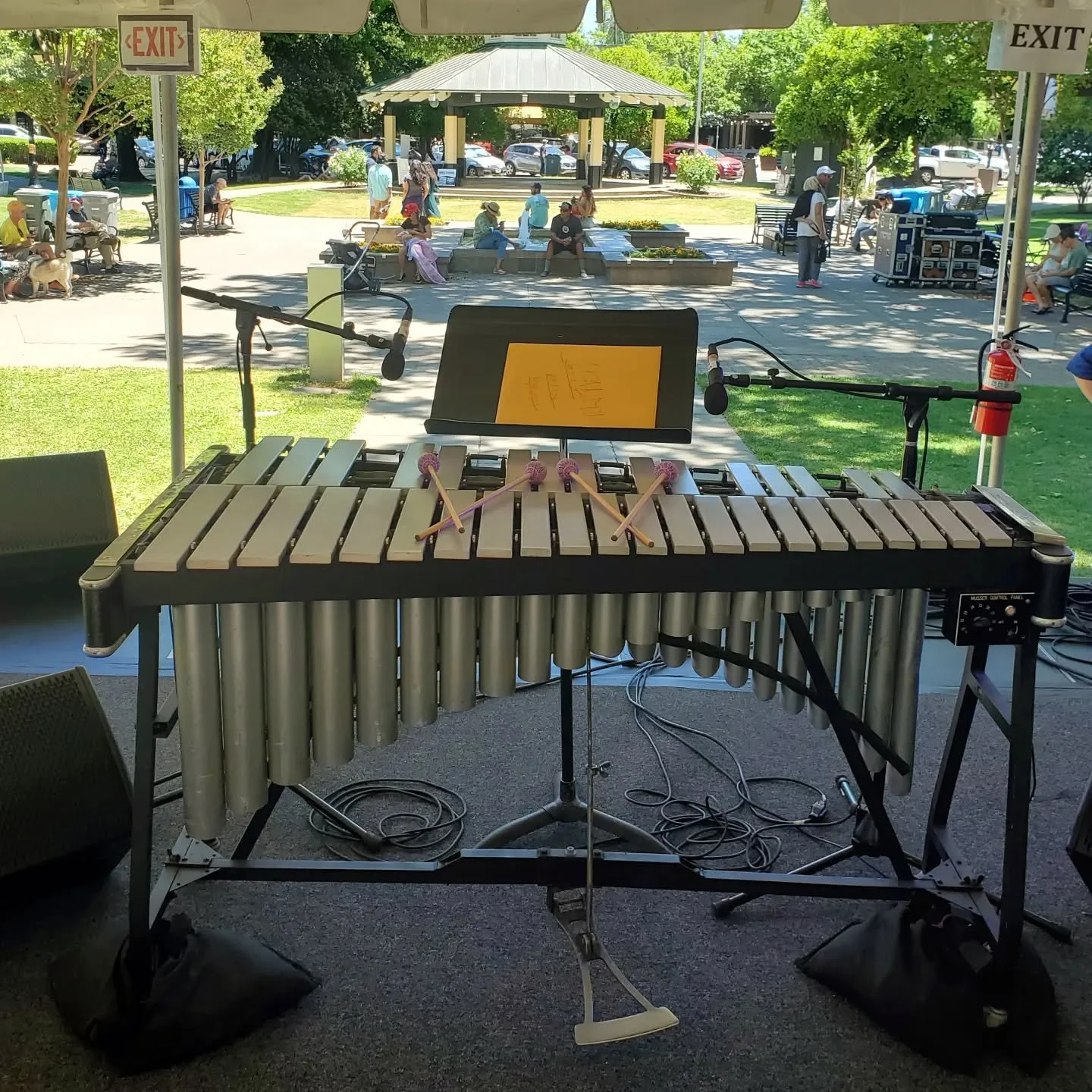 Jazz in Healdsburg,  CA!  MJ New kicks off a week long festival honoring Juneteenth.

#mjnew #darrellgrant #marcusshelby #jazzquartet #alamjq #juneteenth #healdsburgjazzfestival #healdsburg #vibraphone #cecilbrooksiii #swinging