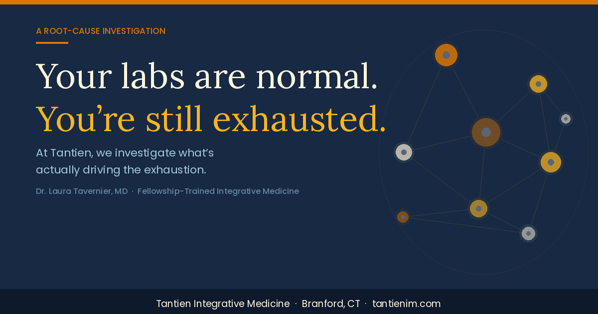 Your Labs Are Normal. So Why Are You Still Exhausted? What Integrative Medicine Looks for in Chronic Fatigue.