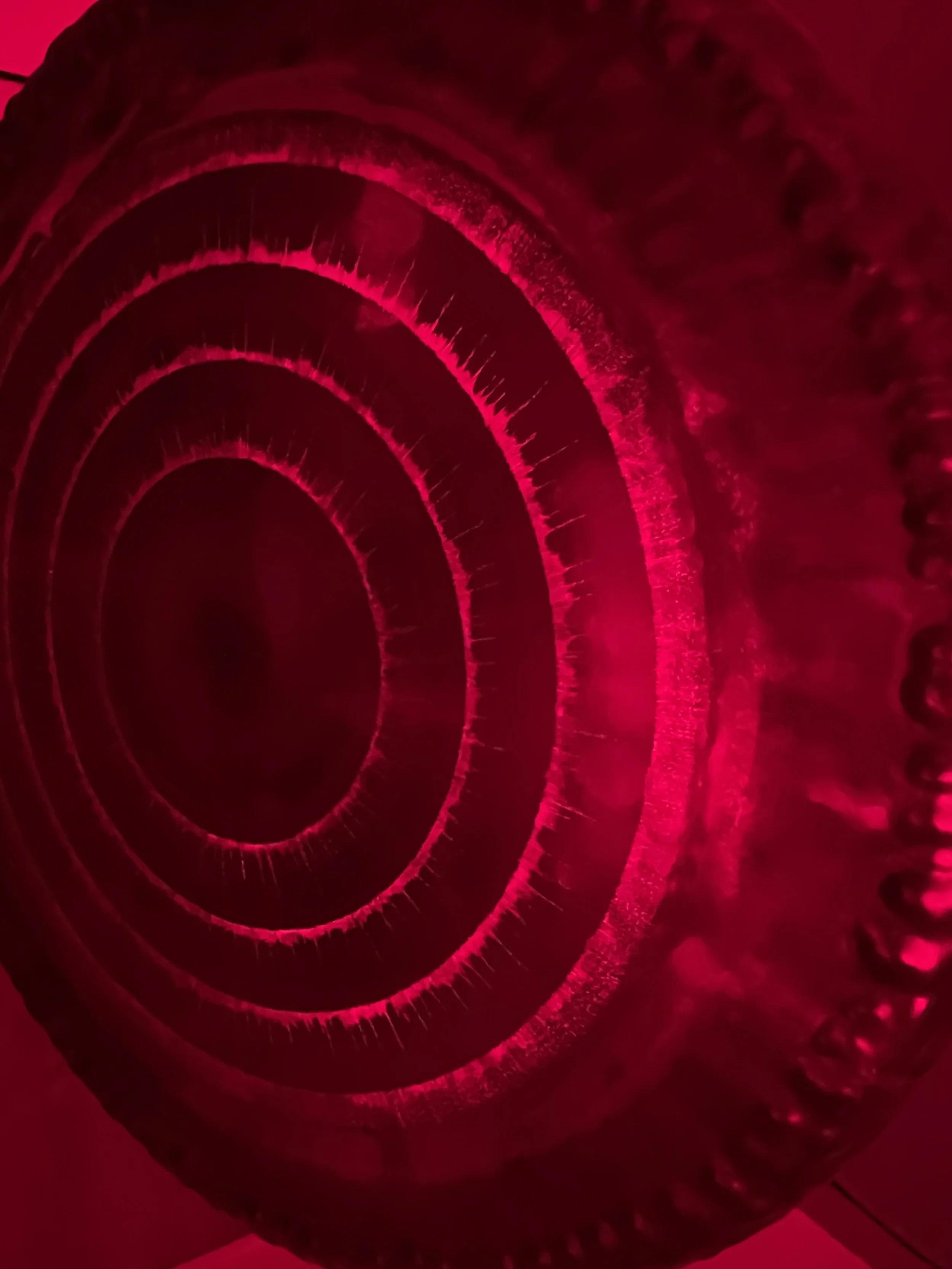 Close-up photograph of a red laser light pattern creating concentric circles with intricate details and textures.