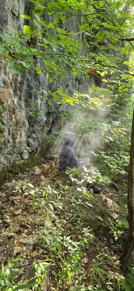 A person sitting on the ground in a forested area, surrounded by green leaves and rocky terrain, with sunlight filtering through the trees.