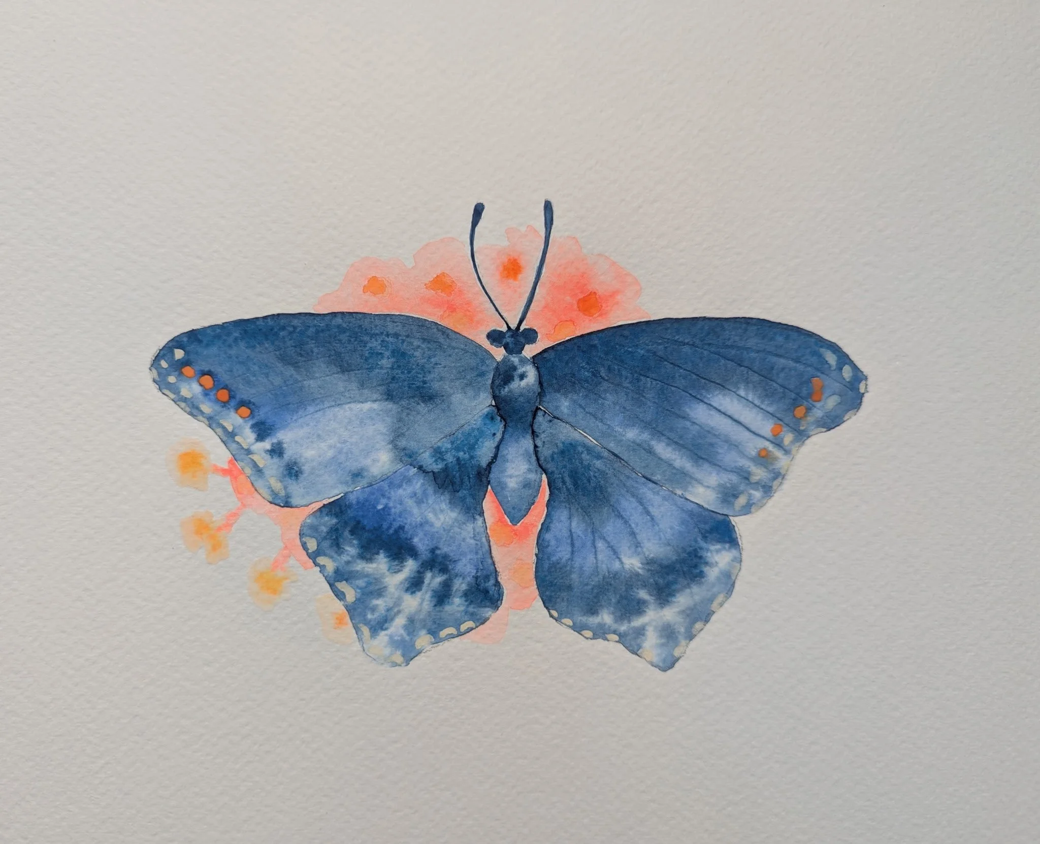 A watercolor painting of a blue butterfly with orange spots on its wings, perched on a pink flower with orange centers.