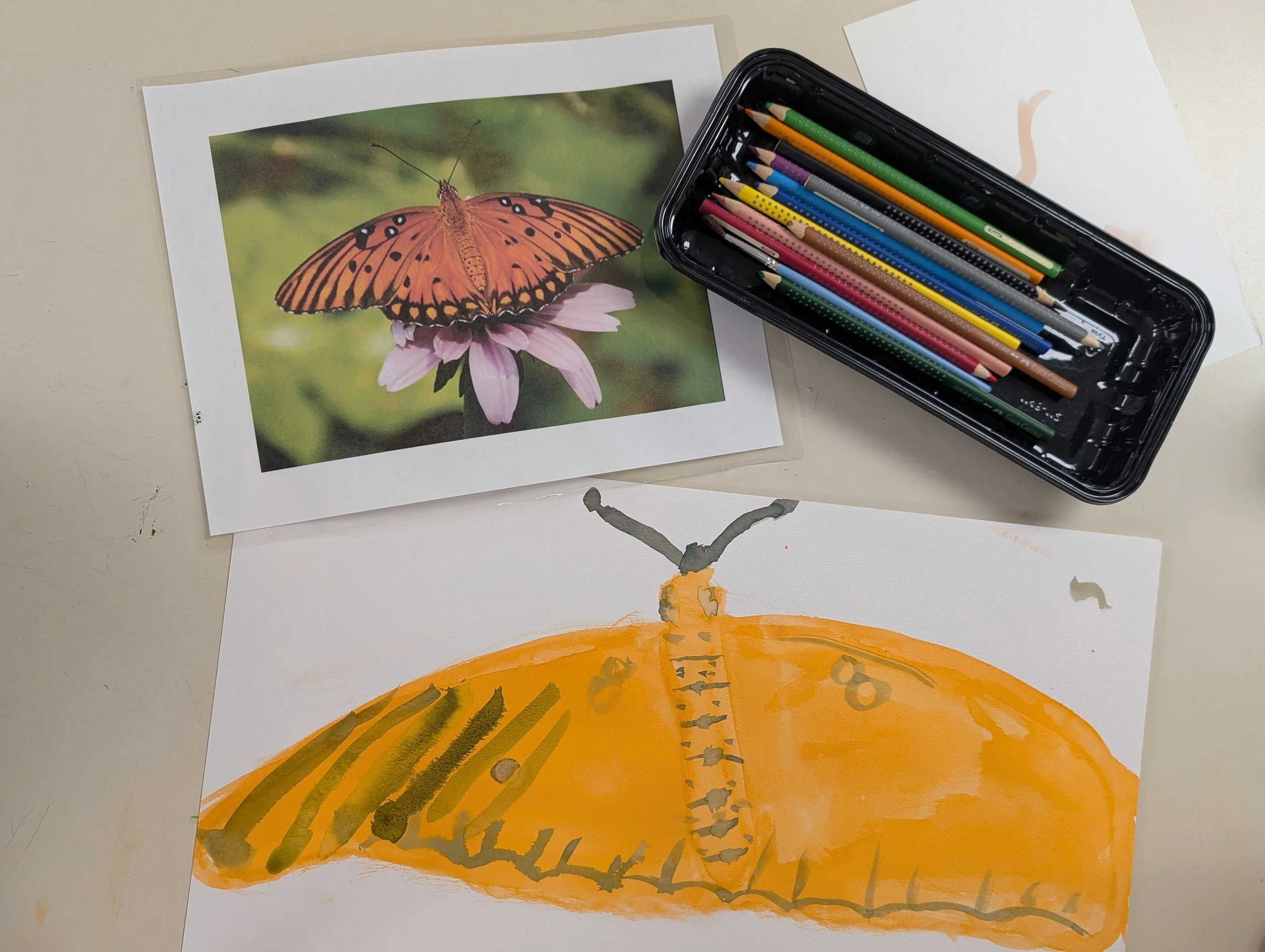 Colorful drawing of a butterfly with orange, black, and white wings on a flower, with colored pencils nearby.