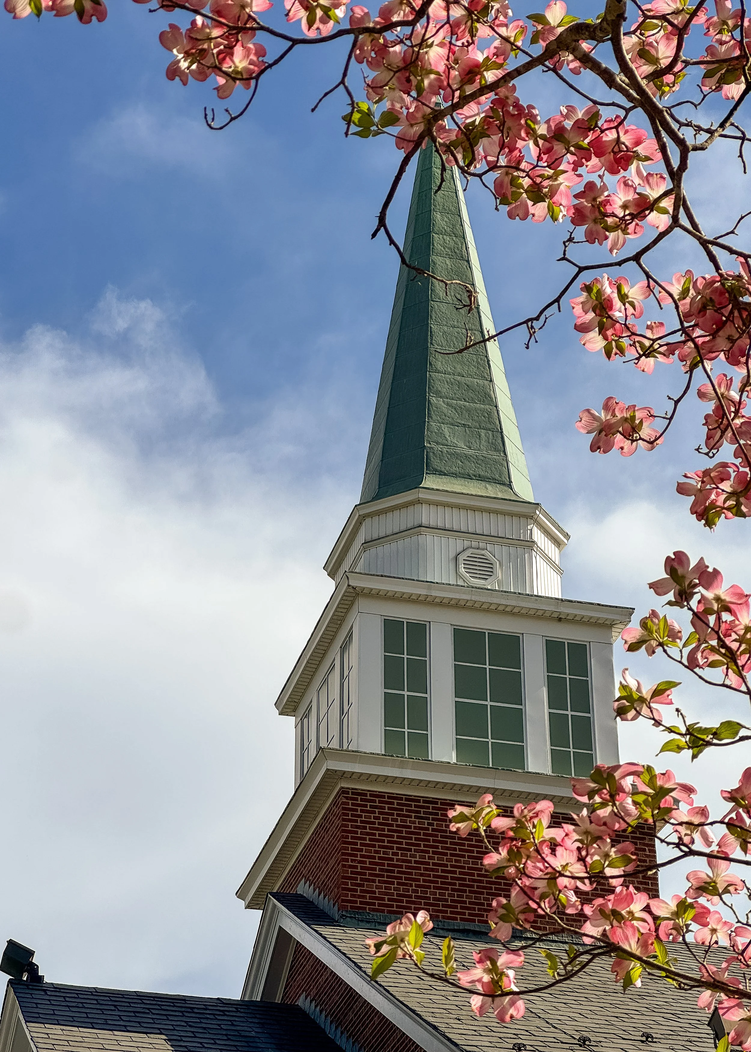 A church steeple with a green roof and white trim, partially framed by pink flowering tree branches, against a blue sky with light clouds.