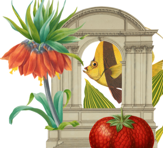 Collage arch and fish