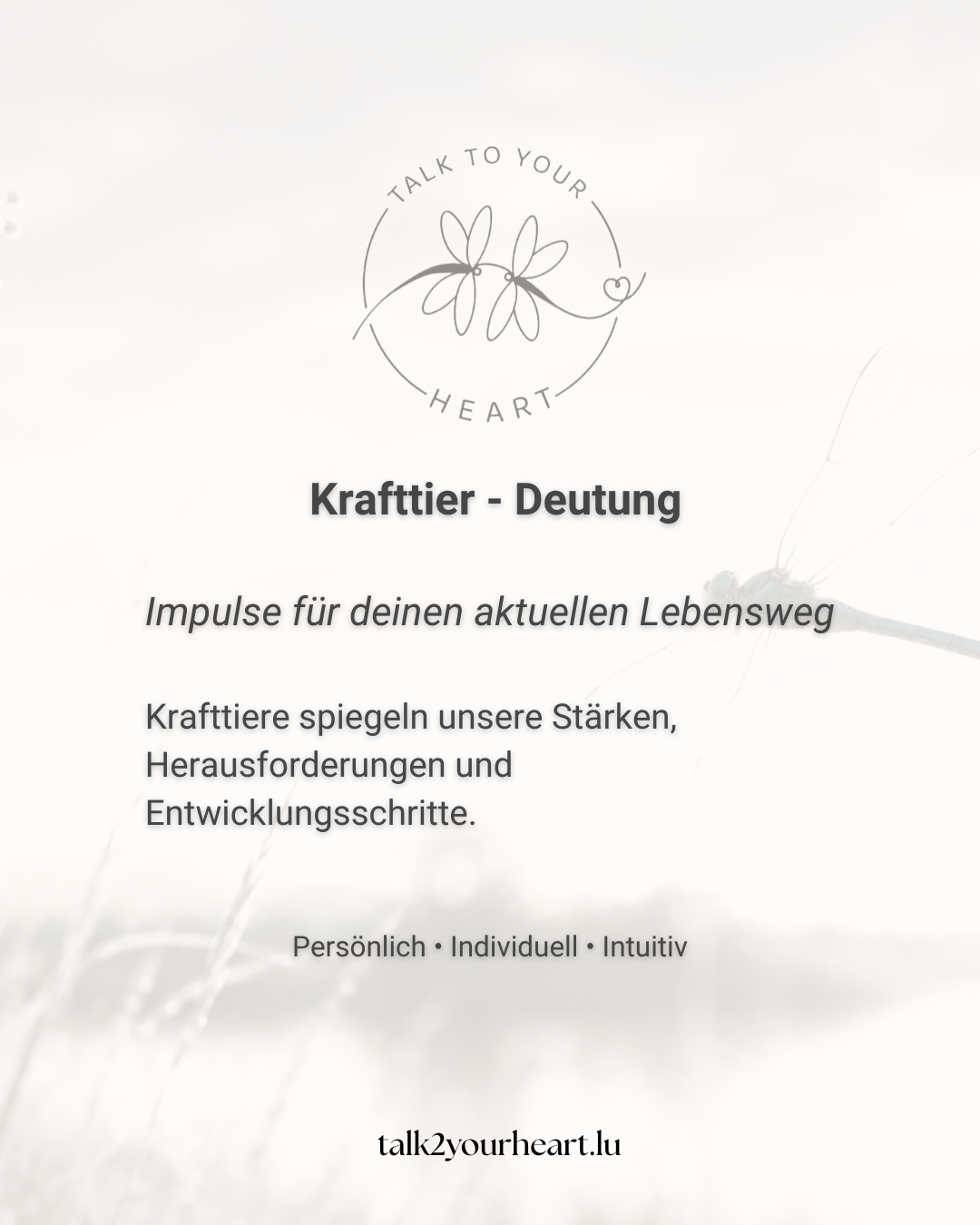 Persönliche Krafttier-Deutung - Impulse für deinen Lebensweg
