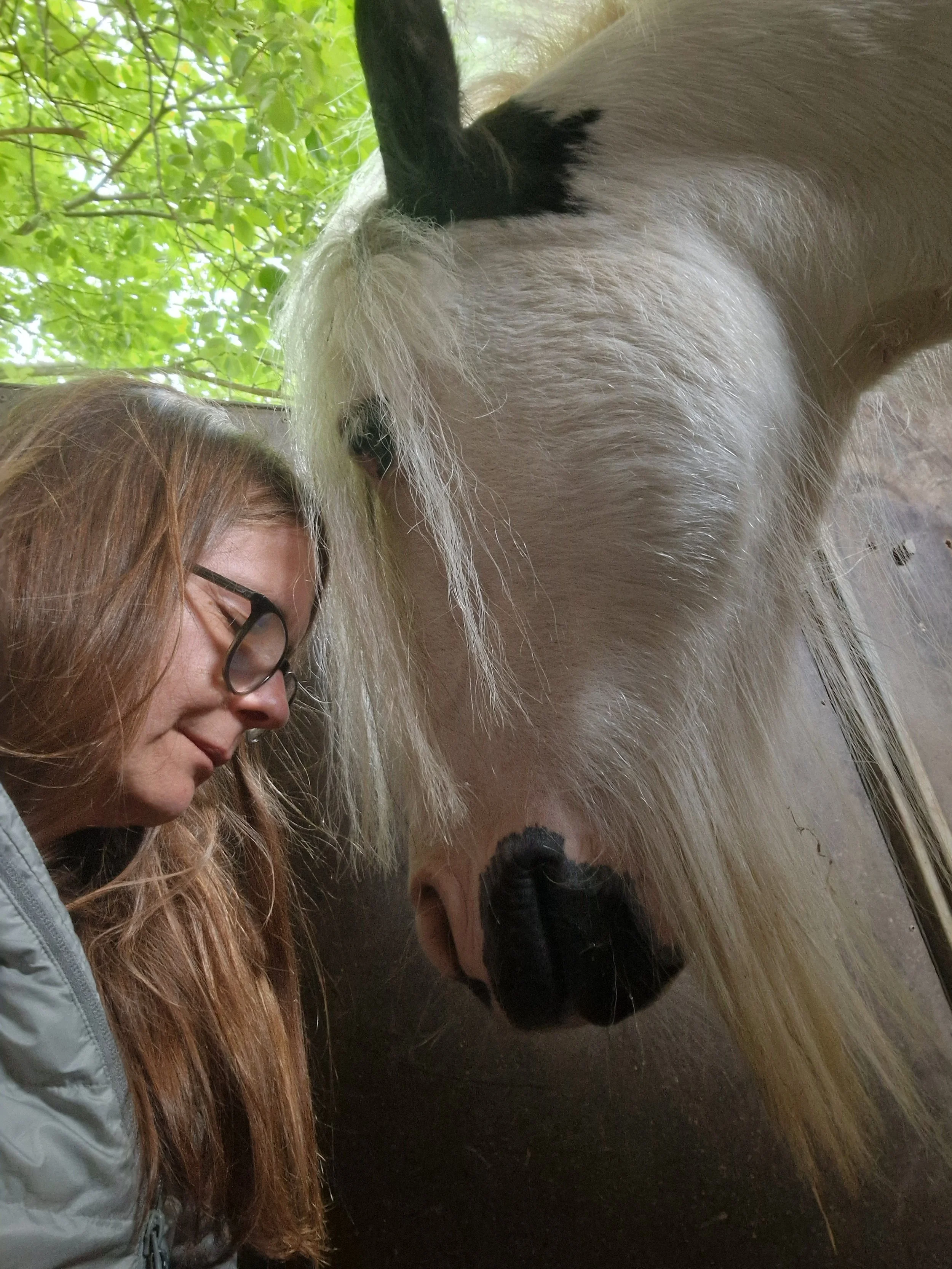 Eine Frau mit Brille und langem braunem Haar steht nahe einem weißem Pferd in einer Holzhütte. Das Pferd hat eine schwarze Nüstern und eine lange Mähne, sie scheinen sich zu berühren oder zu niesen.
