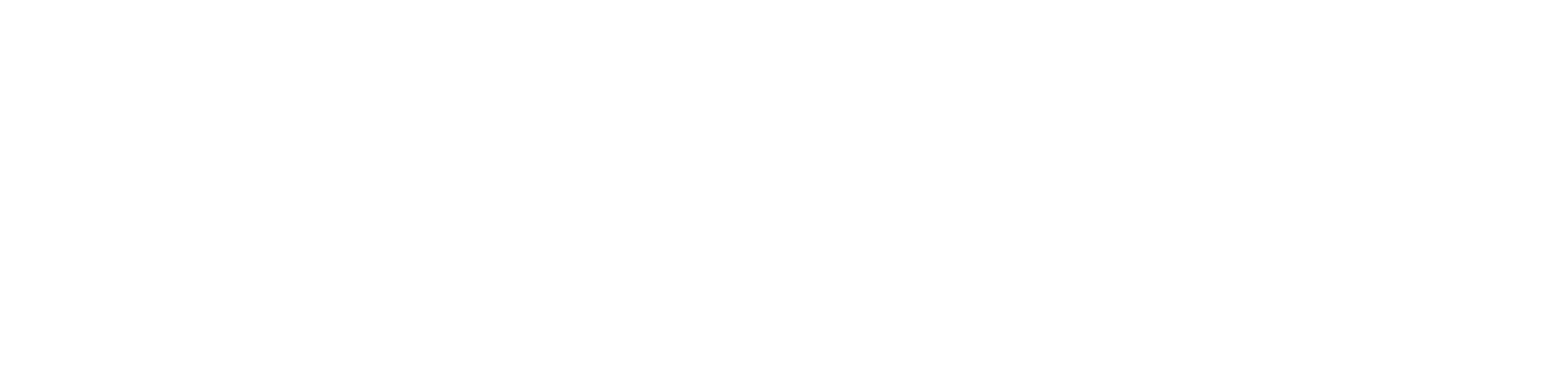 Black and white logo with three paper plane icons stacked and the words "VIBRANT STUDENTS" written beside them.
