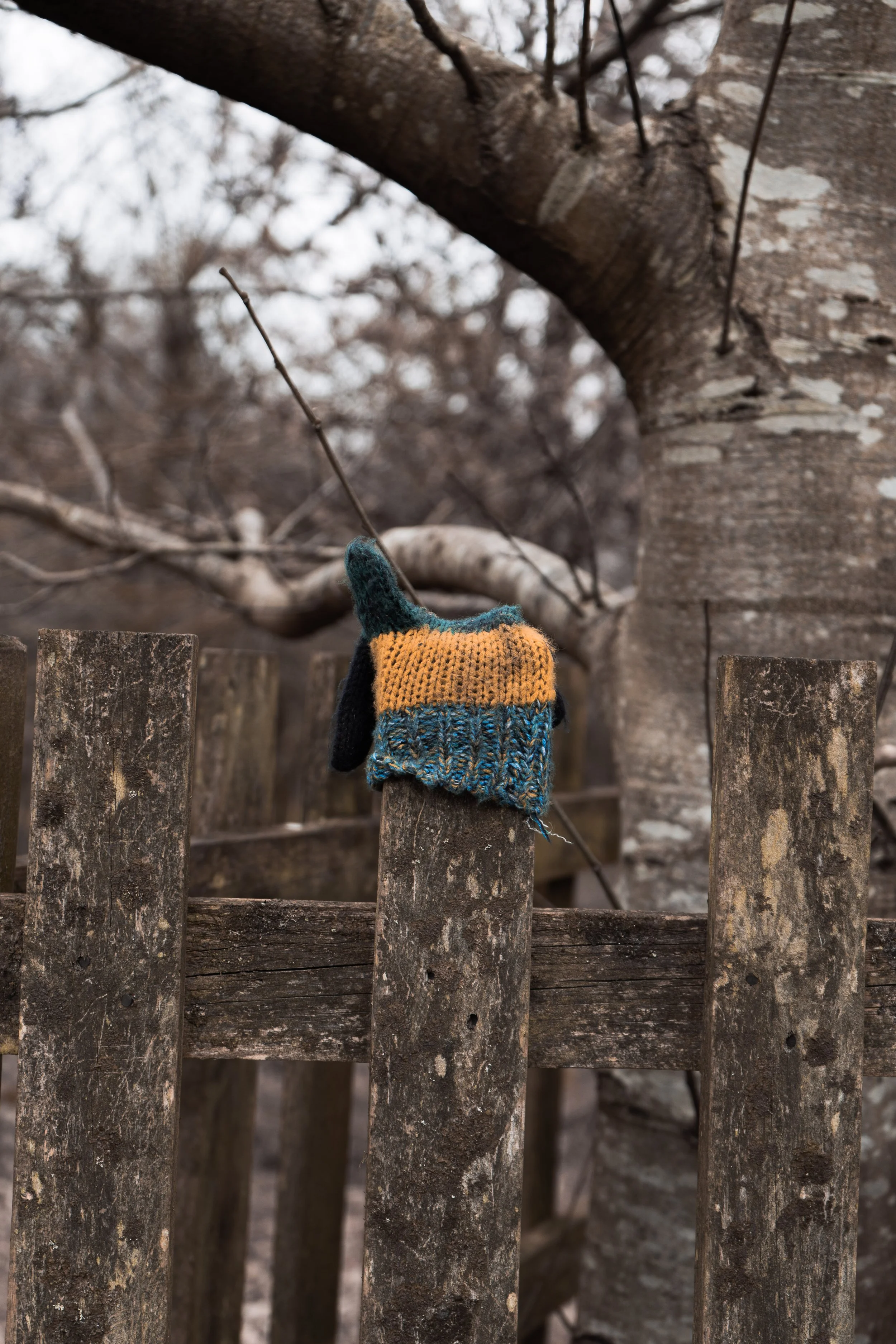 DSC02934Final Composition_.jpg