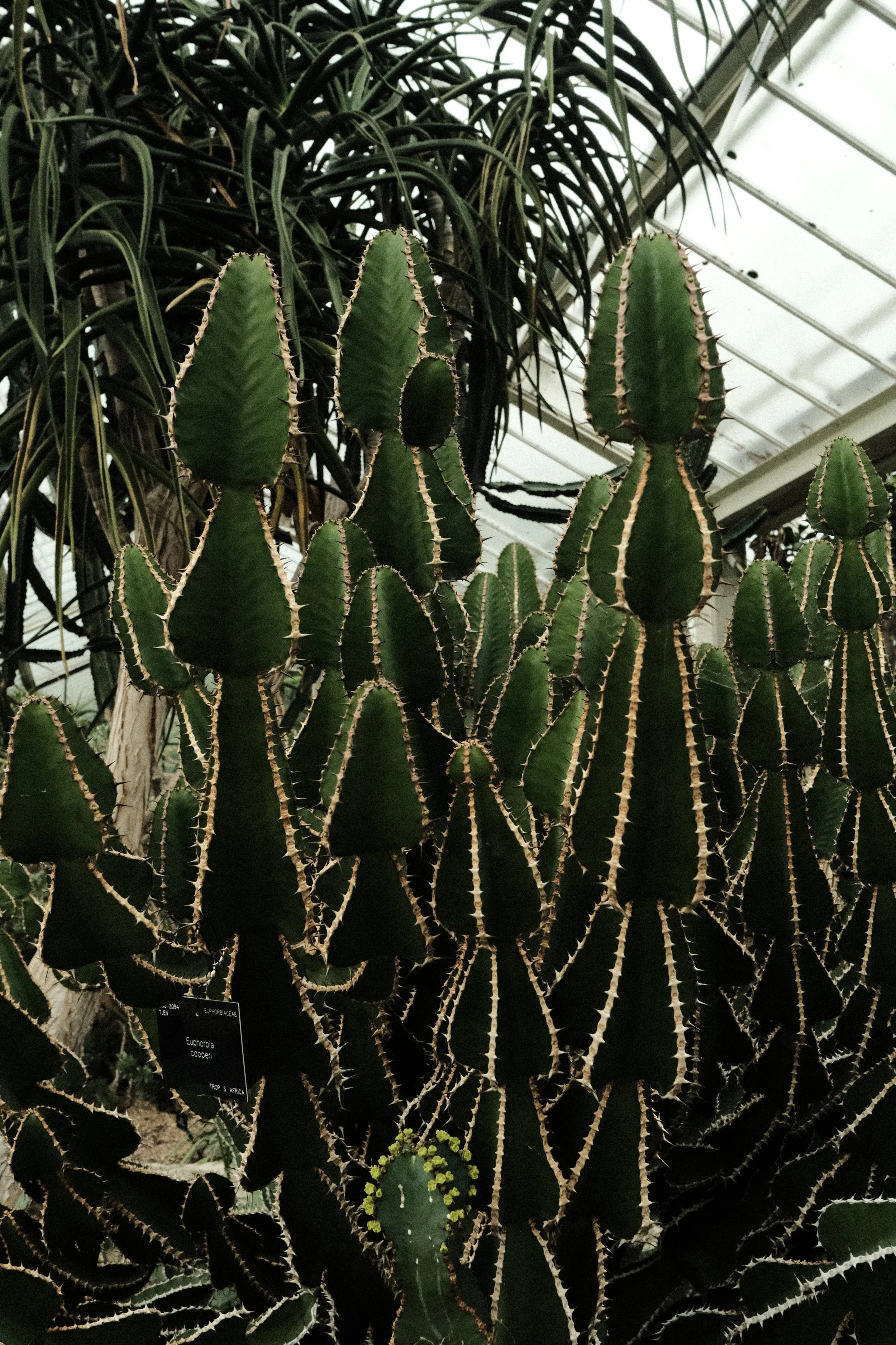 DSCF1311.JPG